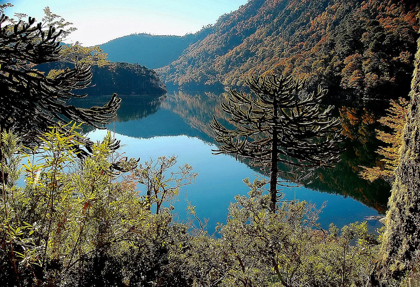 Lago y bosque del Parque Nacional Huerquehue