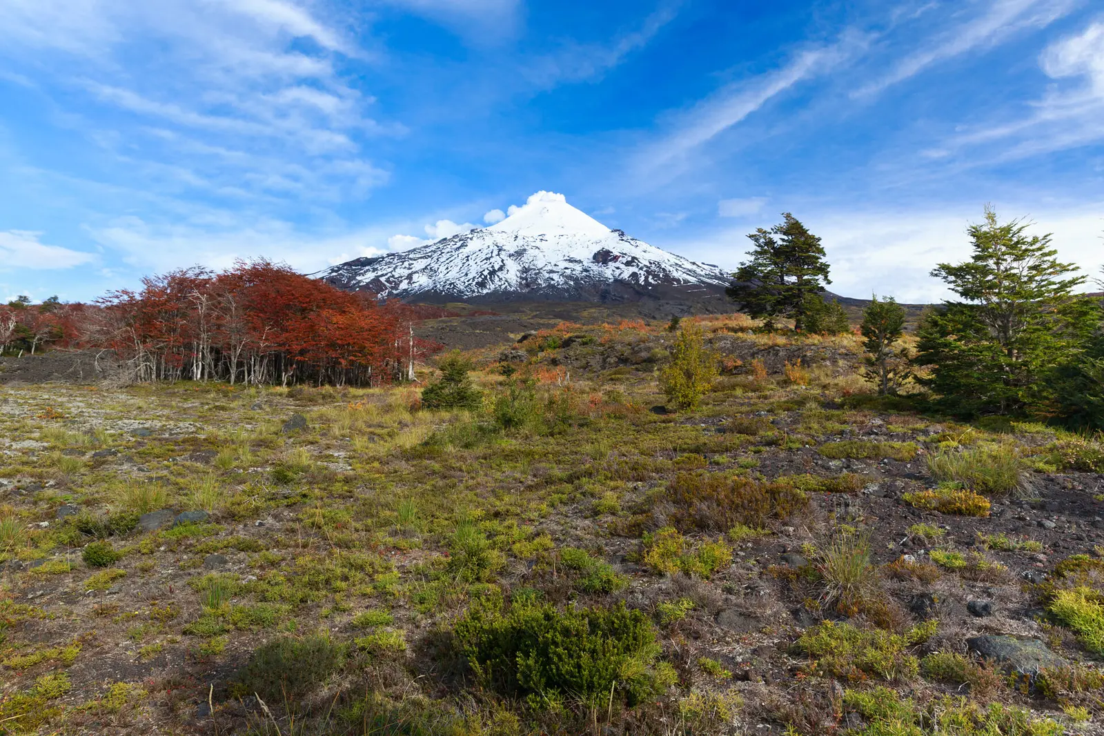 Volcanic landscape in Villarrica National Park